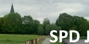 Header SPD Jade