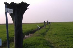 „Ruhig und gemütlich“ (Motto der Jade- Touristik)