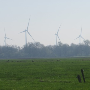 Windpark